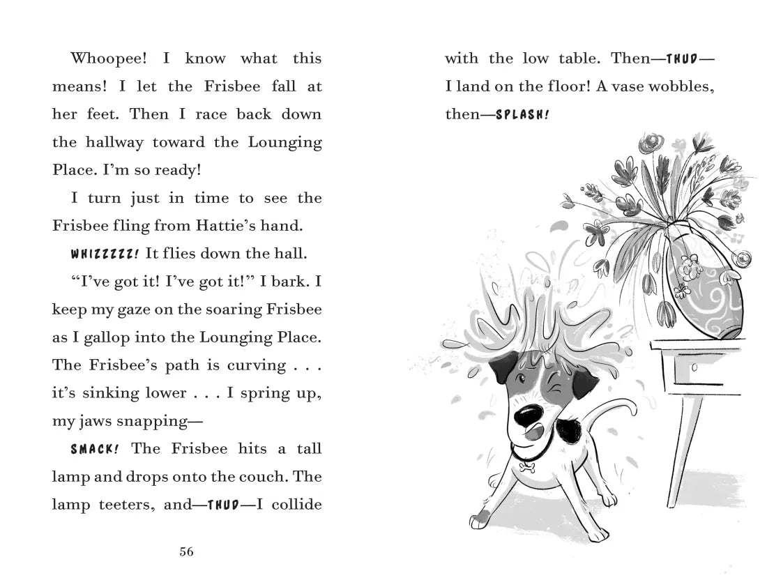 Fenway and the Frisbee Trick US - Paperback / softback