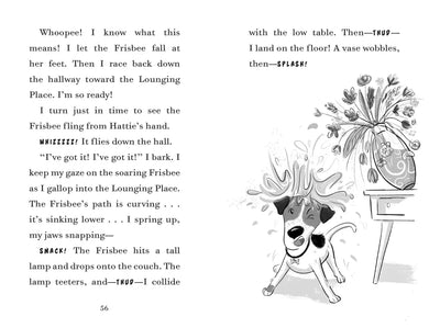 Fenway and the Frisbee Trick US - Paperback / softback