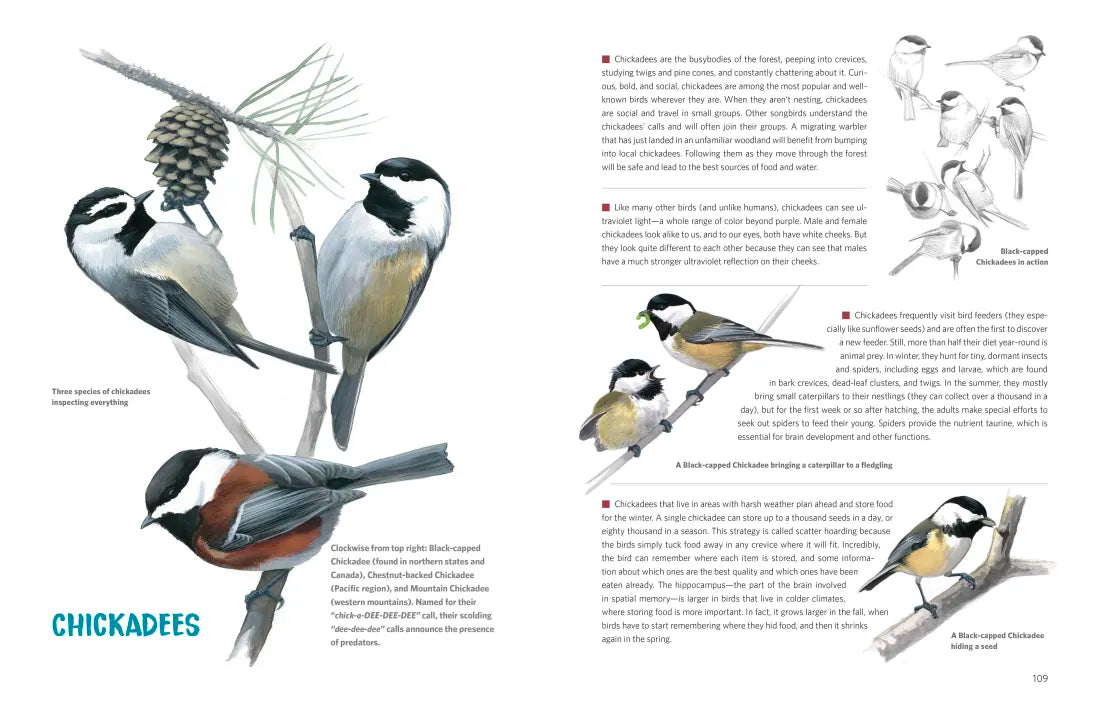 What It's Like to Be a Bird (Adapted for Young Readers) US - Hardback (9780593430187)