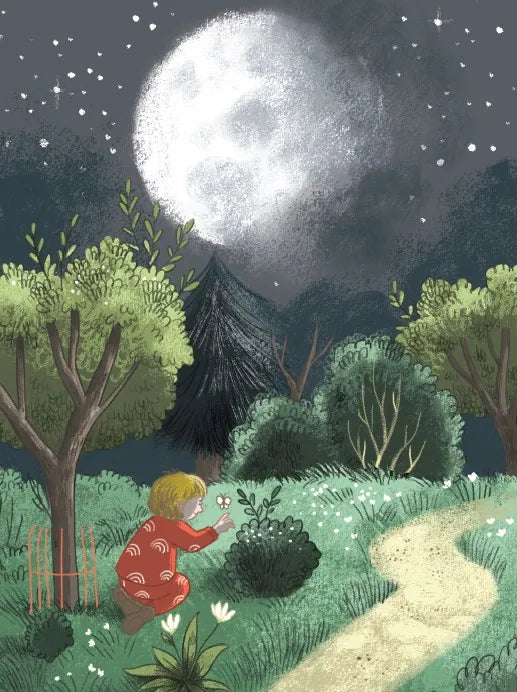 Nature Activity Book for Little Ones US - Paperback / softback