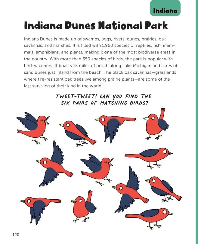 Fun with National Parks US - Paperback / softback