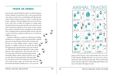 Catch a Crayfish, Count the Stars US - Hardback