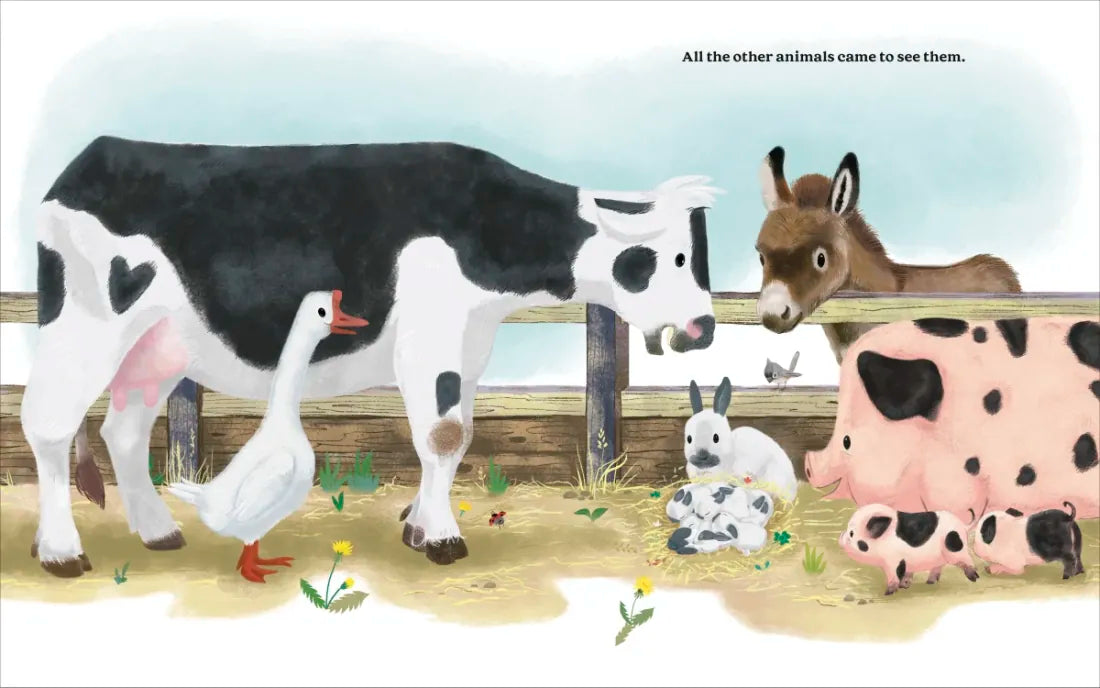 The Cutest Brave Little Bunny US - Hardback