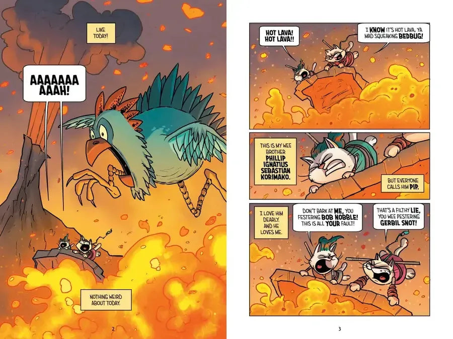 Hilo Book 10: Rise of the Cat US - Hardback