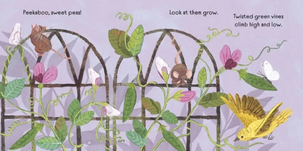 Baby Botanicals: Peekaboo, Flowers! US - Board book
