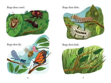 Bug Catchers US - Paperback / softback