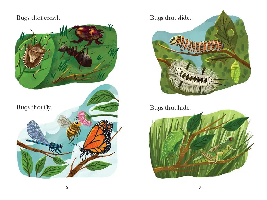 Bug Catchers US - Paperback / softback