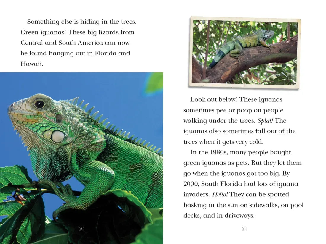 Animal Invaders US - Paperback / softback
