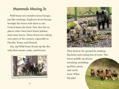 Animal Invaders US - Hardback