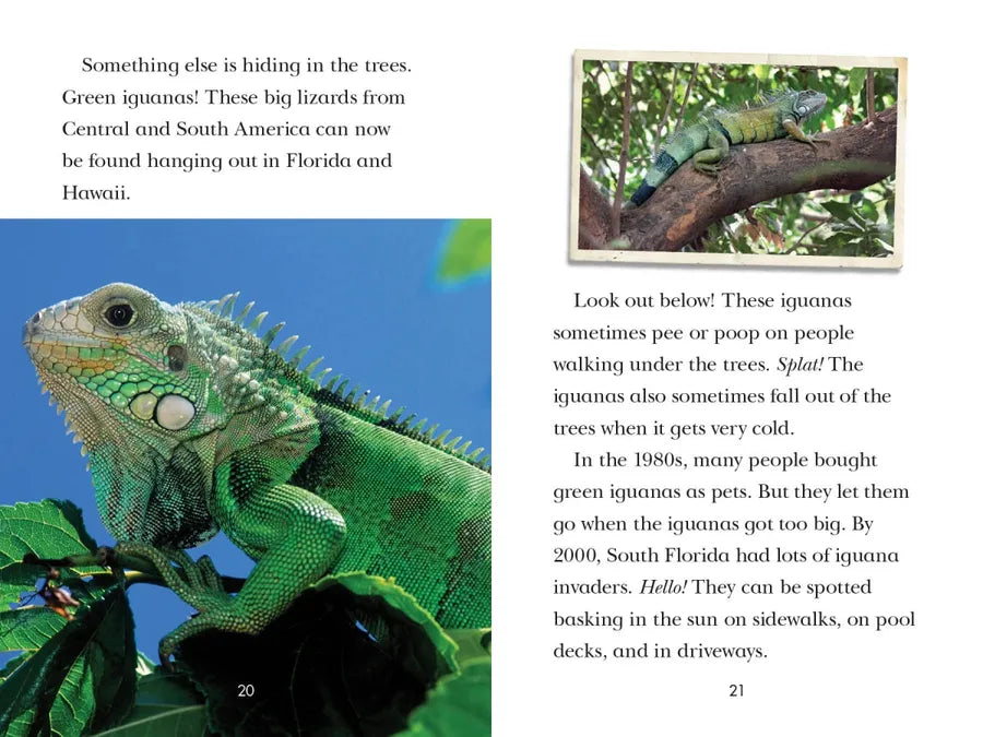 Animal Invaders US - Hardback