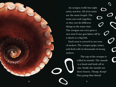 Octopus! US - Paperback / softback