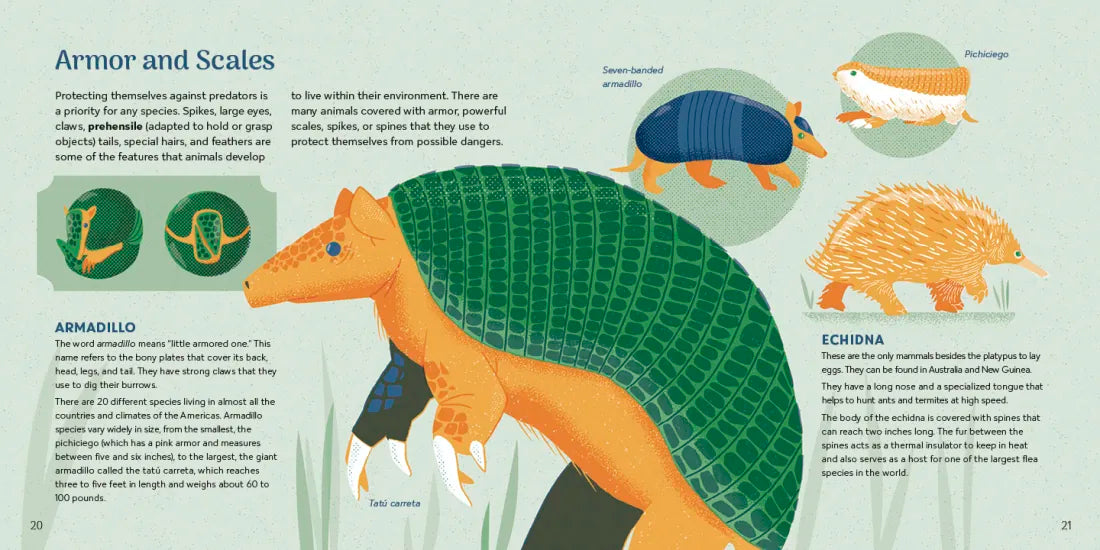 Amazing Animals Around the World US - Hardback