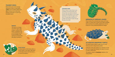 Amazing Animals Around the World US - Hardback