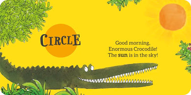 Roald Dahl Shapes US - Board book