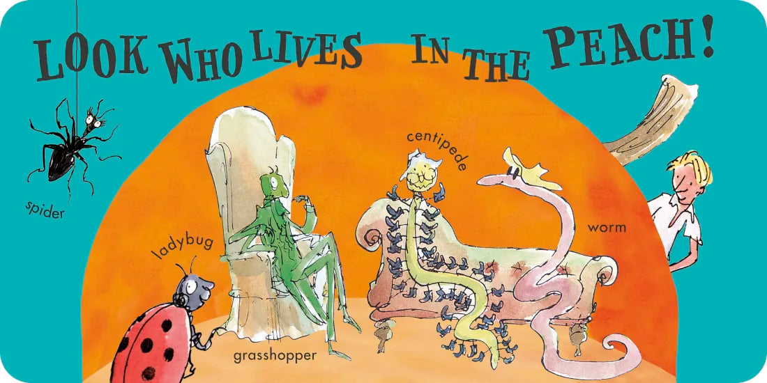 Roald Dahl Words US - Board book