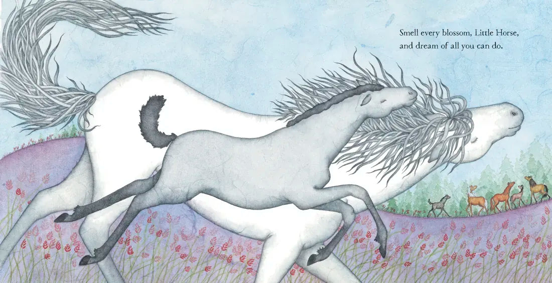 I Love You, Little Horse US - Hardback