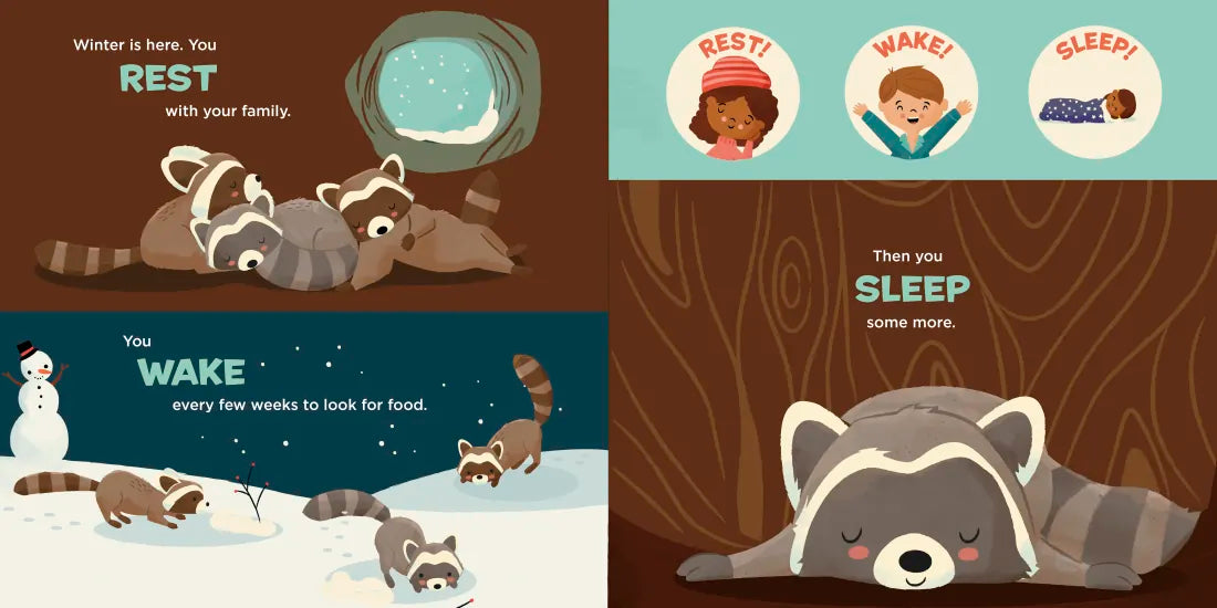 You Are a Raccoon! US - Hardback