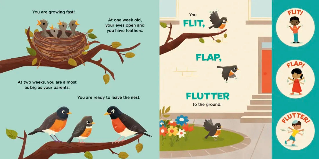 You Are a Robin! US - Hardback