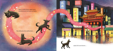 Night Market Rescue US - Hardback