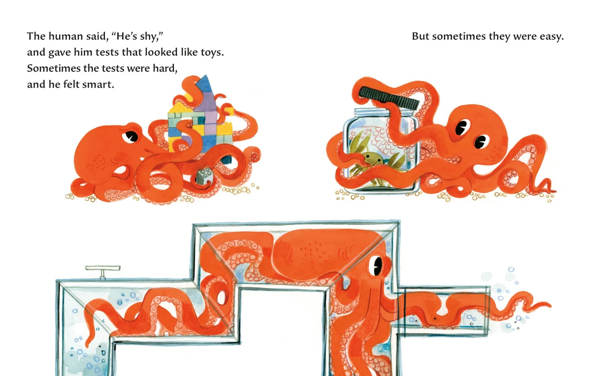 The Octopus Escapes US - Board book
