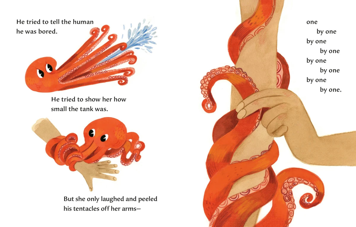 The Octopus Escapes US - Board book