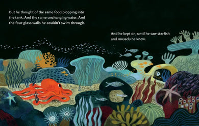 The Octopus Escapes US - Board book