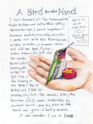 The Backyard Bird Chronicles US - Book