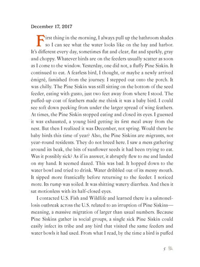 The Backyard Bird Chronicles US - Book