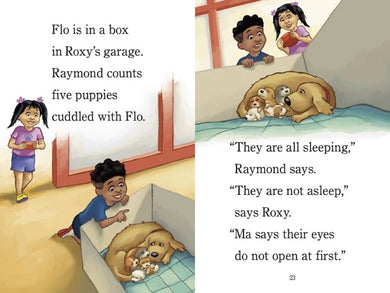 Ready? Set. Puppies! (Raymond and Roxy) US - Paperback / softback