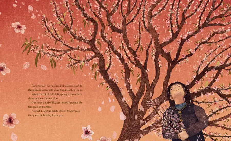 Baba's Peach Tree US - Hardback (9780593565070)