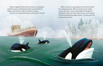 My Little Golden Book About Whales US - Hardback
