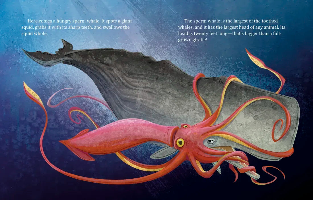 My Little Golden Book About Whales US - Hardback