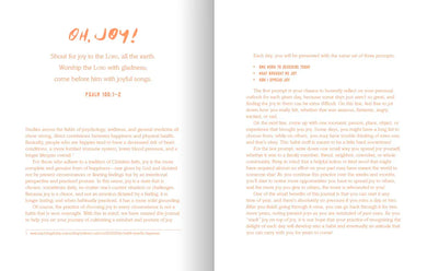 The 3-Minute Journal of Joy US - Book