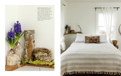 Wonder of the Woodlands US - Hardback