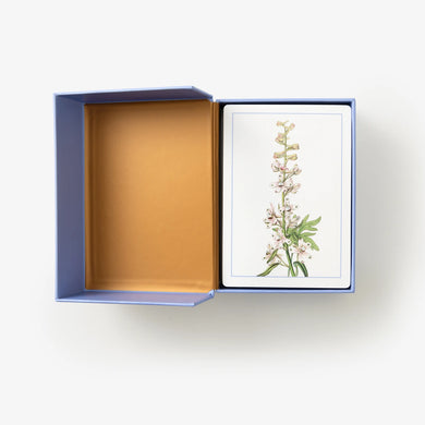 New York Botanical Garden Wildflower Identification Flashcards US - Cards