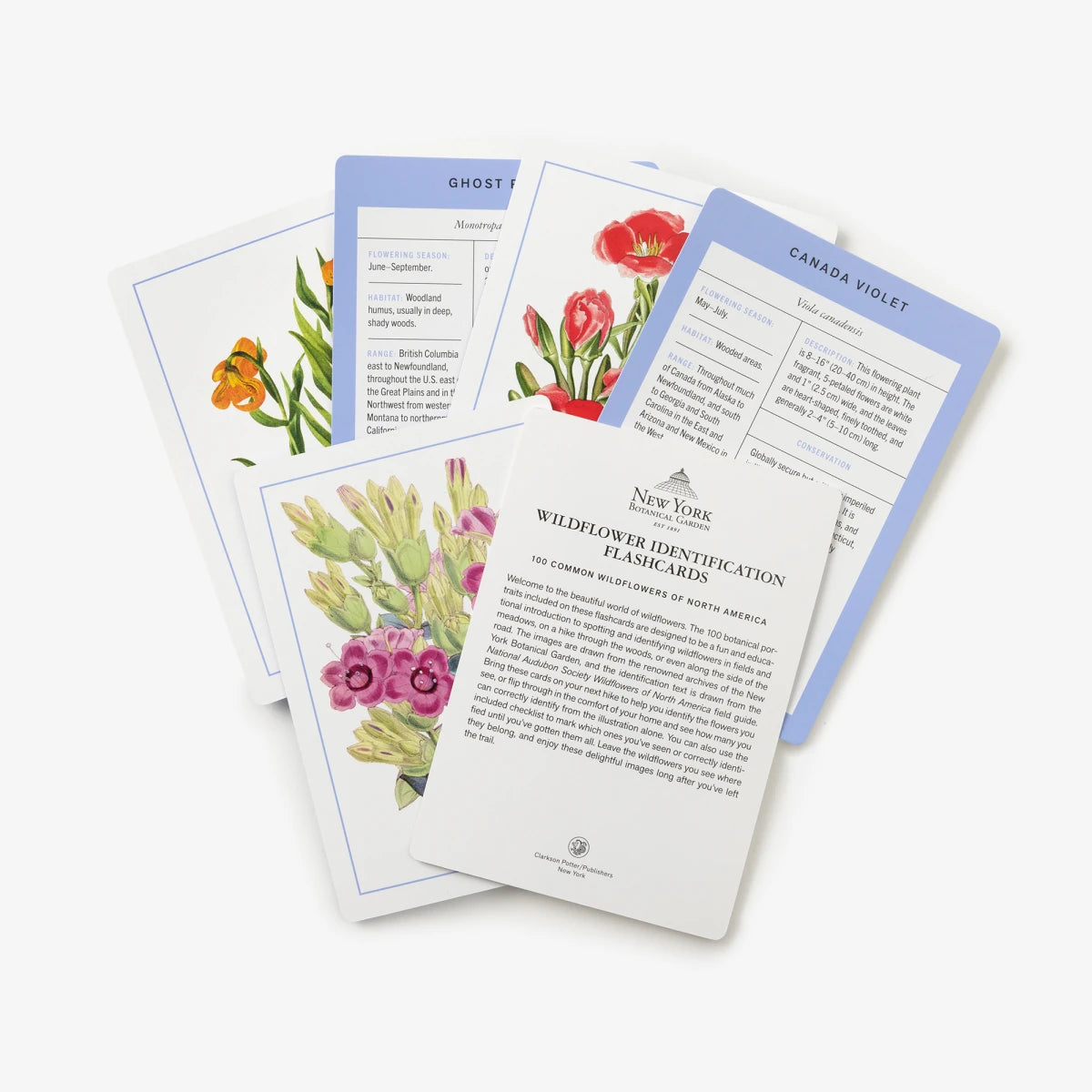 New York Botanical Garden Wildflower Identification Flashcards US - Cards