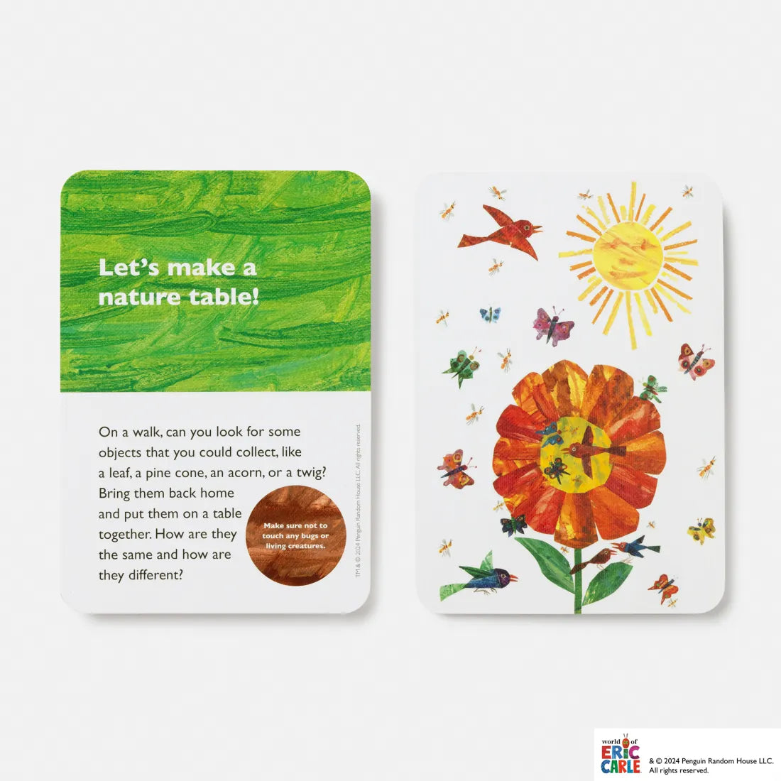 The Very Hungry Caterpillar Let's Play All Day US - Cards