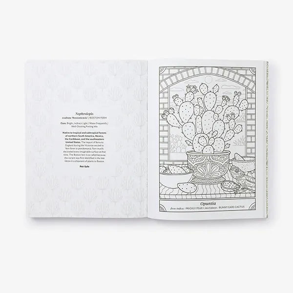 The Happy Houseplant Coloring Book US - Paperback / softback