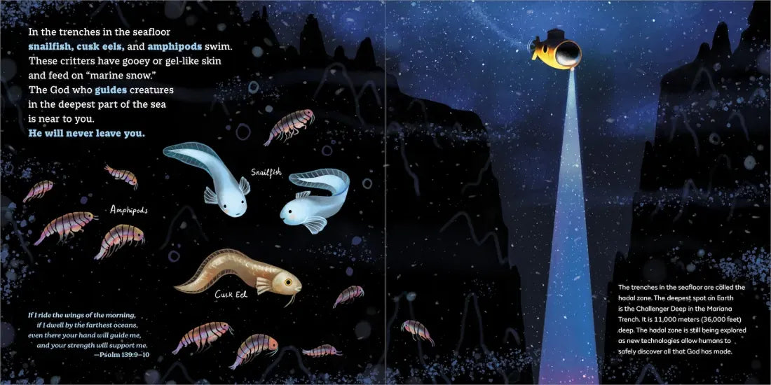 God's Little Oceanographer US - Hardback