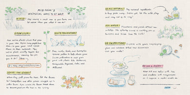 Miss Prim Goes Wild US - Hardback