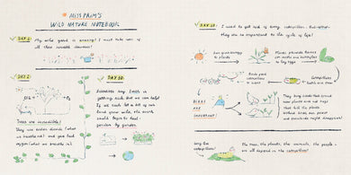 Miss Prim Goes Wild US - Hardback