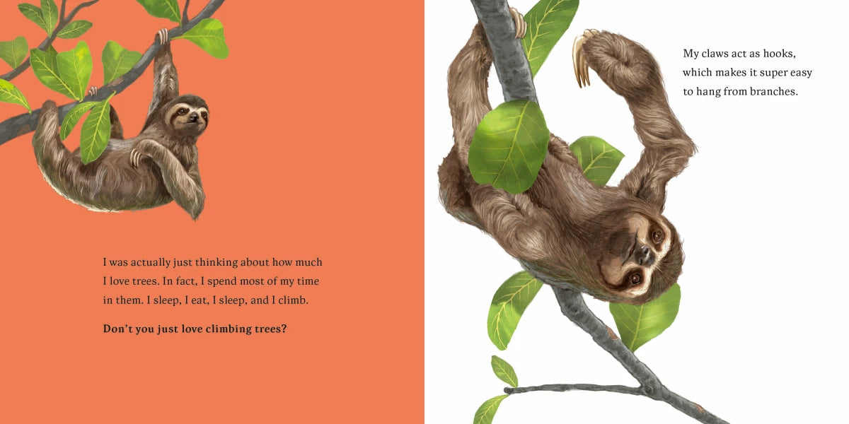 Hello, I'm a Sloth (Meet the Wild Things, Book 1) US - Hardback