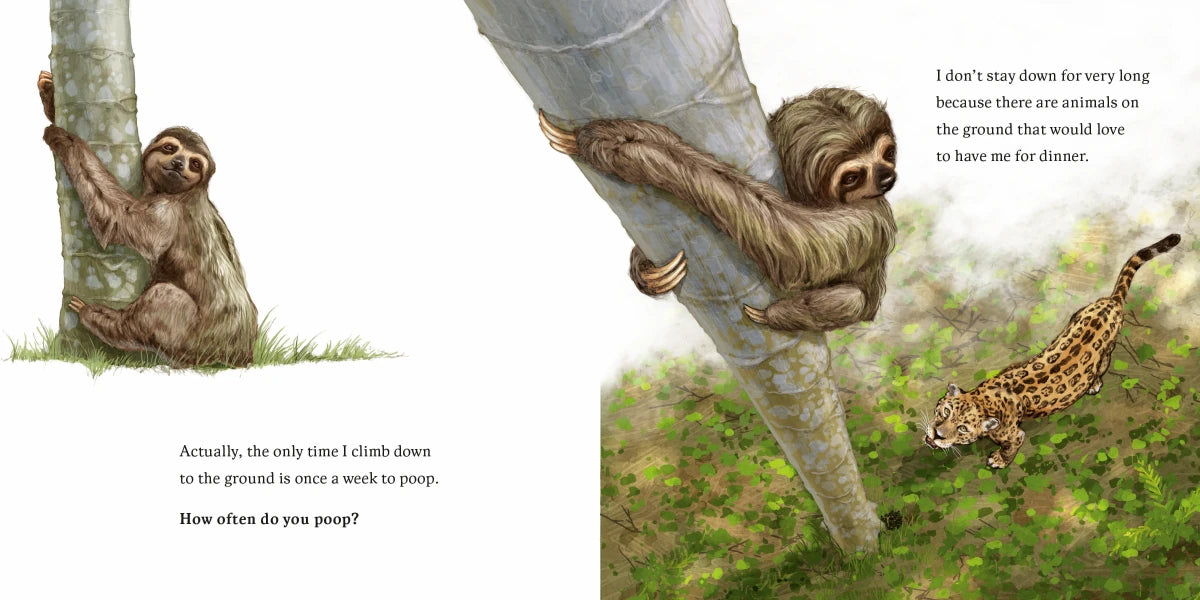 Hello, I'm a Sloth (Meet the Wild Things, Book 1) US - Hardback
