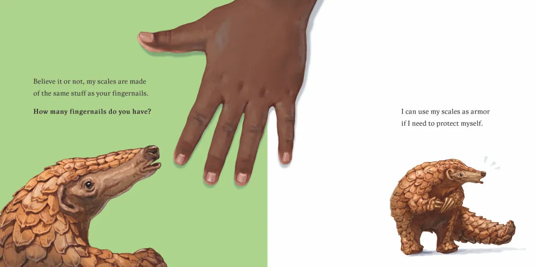 Hello, I'm a Pangolin (Meet the Wild Things, Book 2) US - Hardback
