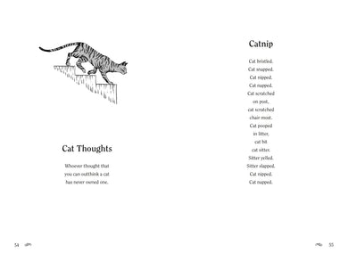 In and Out the Window US - Hardback