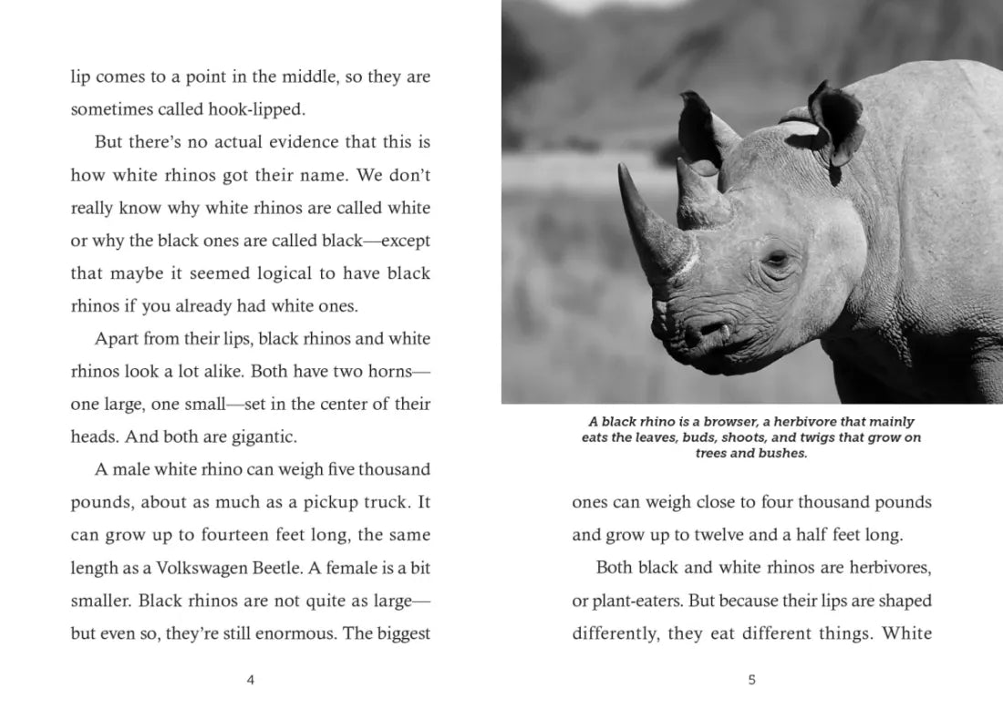 Save the... Rhinoceroses US - Paperback / softback