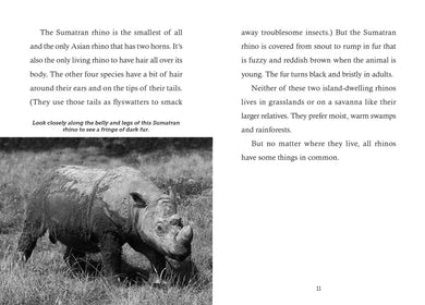 Save the... Rhinoceroses US - Paperback / softback