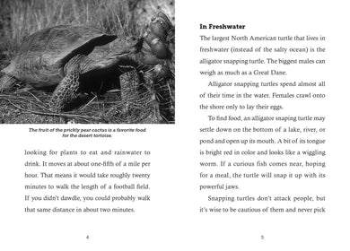 Save the...Turtles US - Paperback / softback