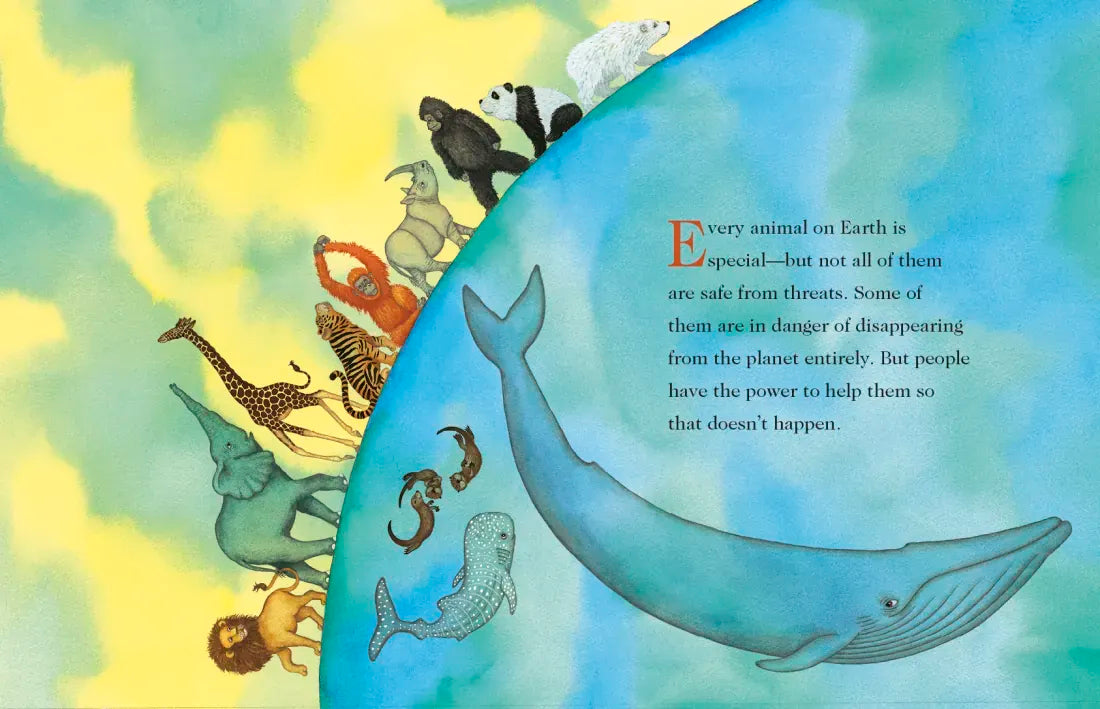 Don't Let Them Disappear US - Board book