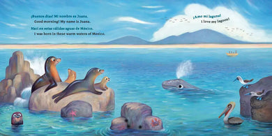 Baby Ballena (Bilingual English-Spanish Edition) US - Hardback